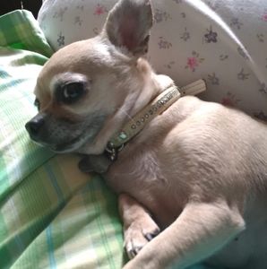 Meet your Posher, Brenda